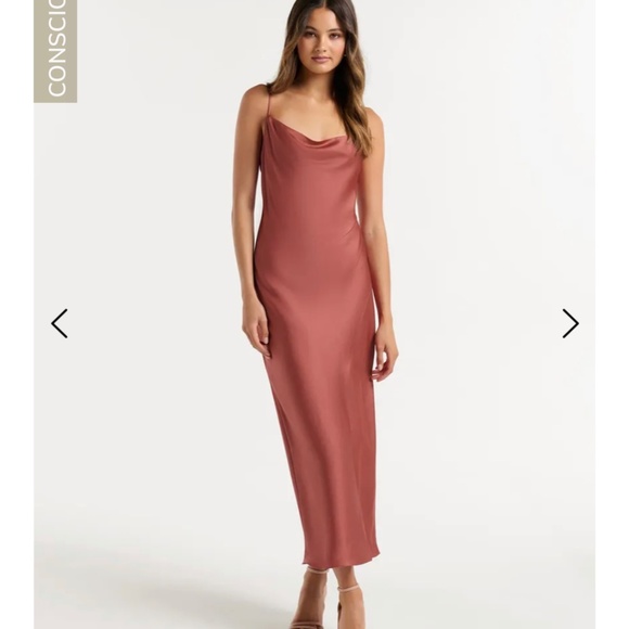 Evernew Melbourne Dresses & Skirts - Ever New  satin cowl neck midi dress
